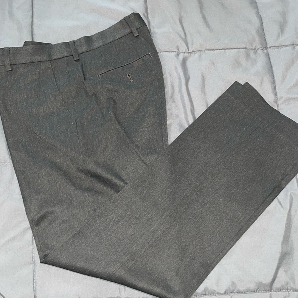 Express Dress Pants